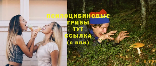 гидра Армянск