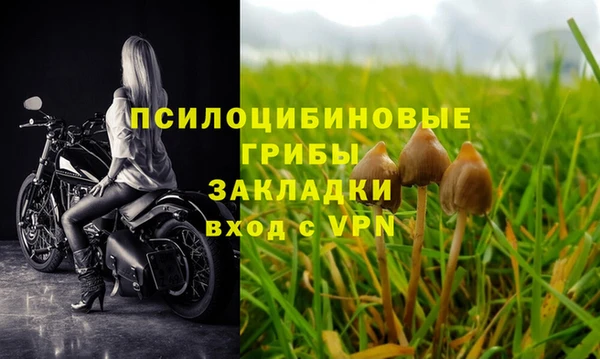 гидра Армянск