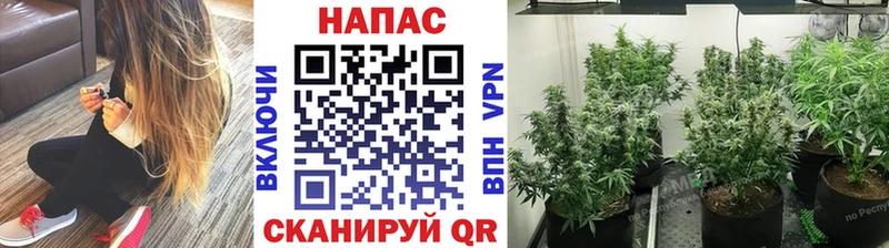 Марихуана SATIVA & INDICA  MEGA ONION  Белогорск 